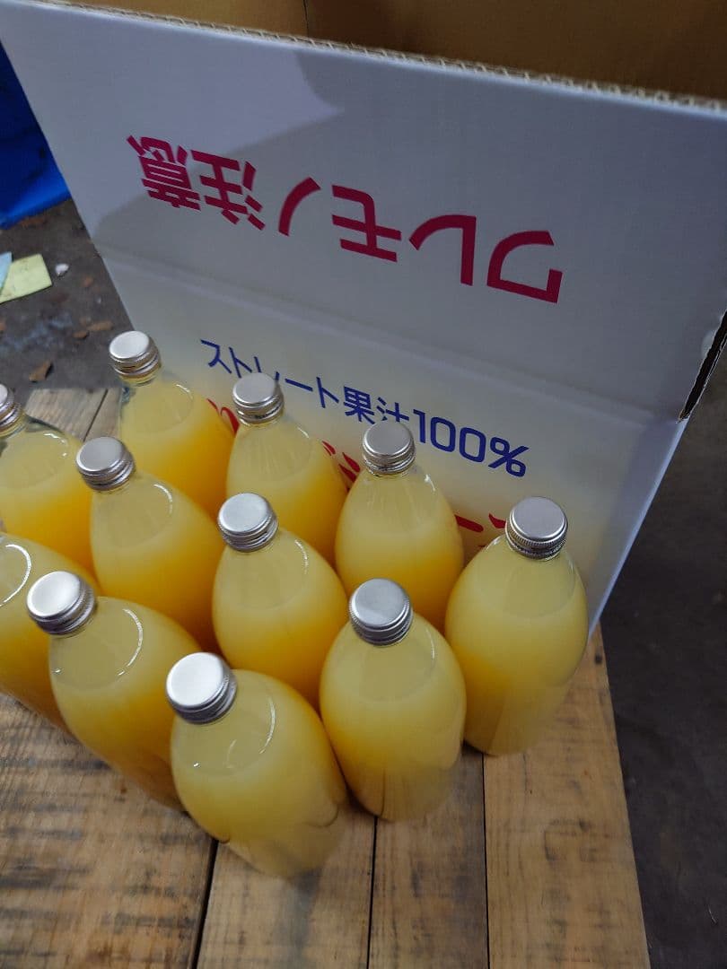 青森りんご　サンふじ100%　りんごジュース　1L12本入り 送料込