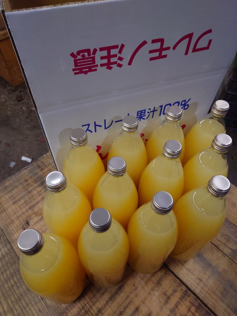 青森りんご　サンふじ100%　りんごジュース　1L12本入り 送料込