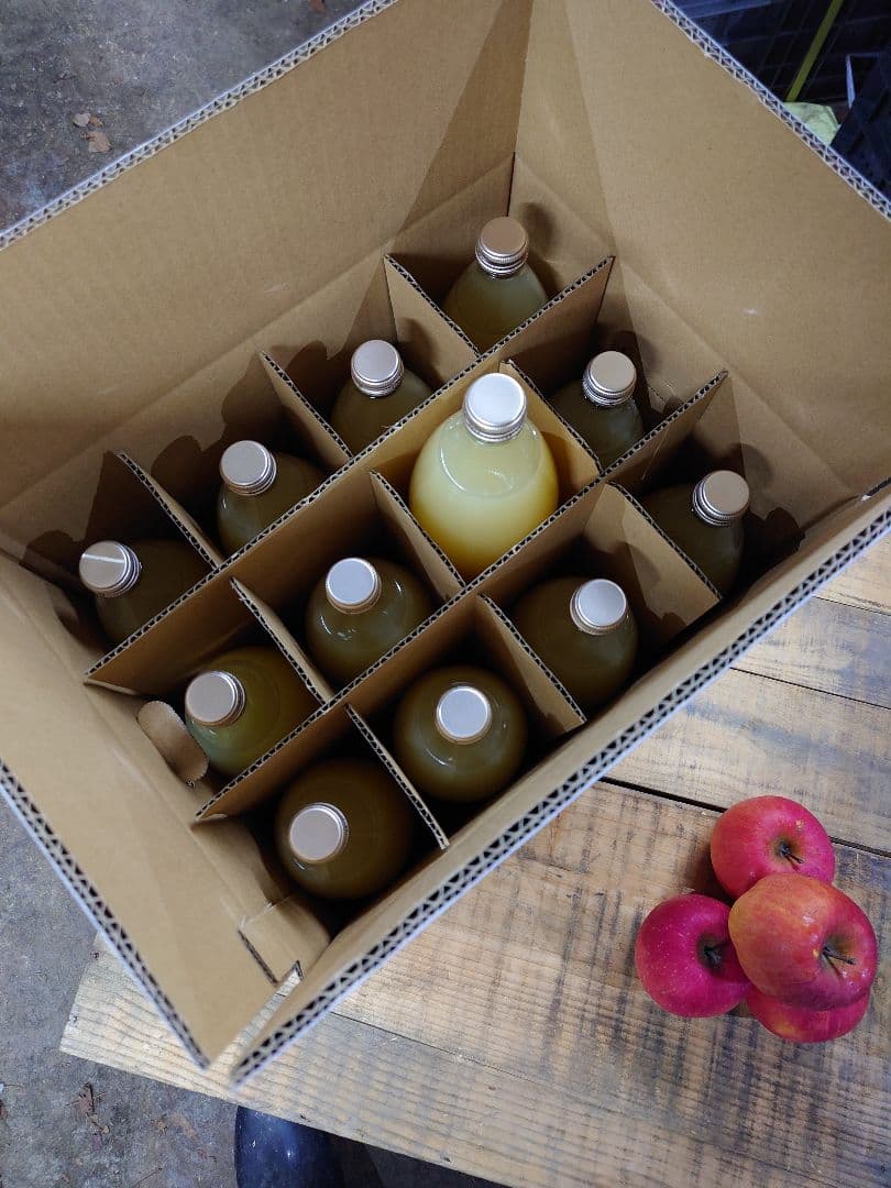 青森りんご　サンふじ100%　りんごジュース　1L12本入り 送料込