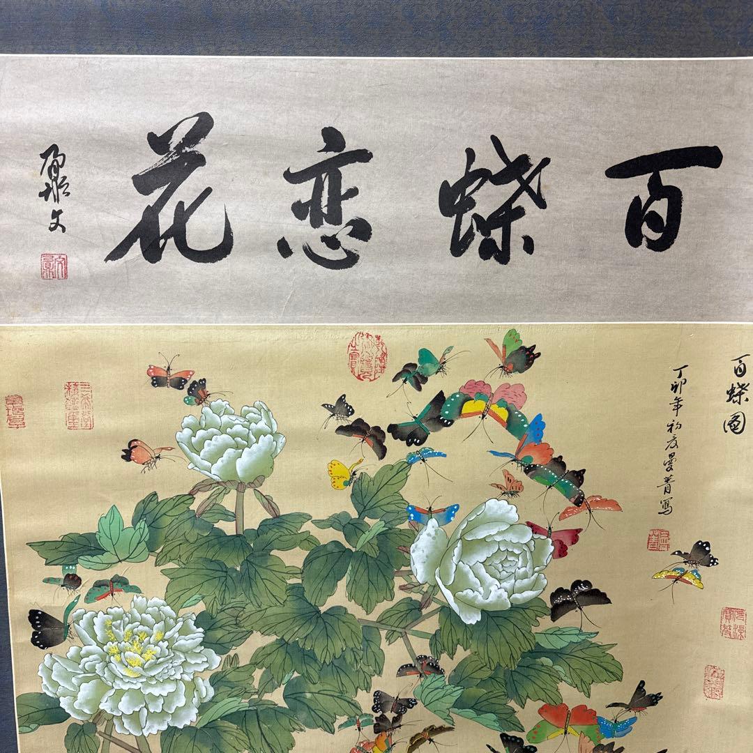 中国美術/百蝶恋花/縁起物/掛軸