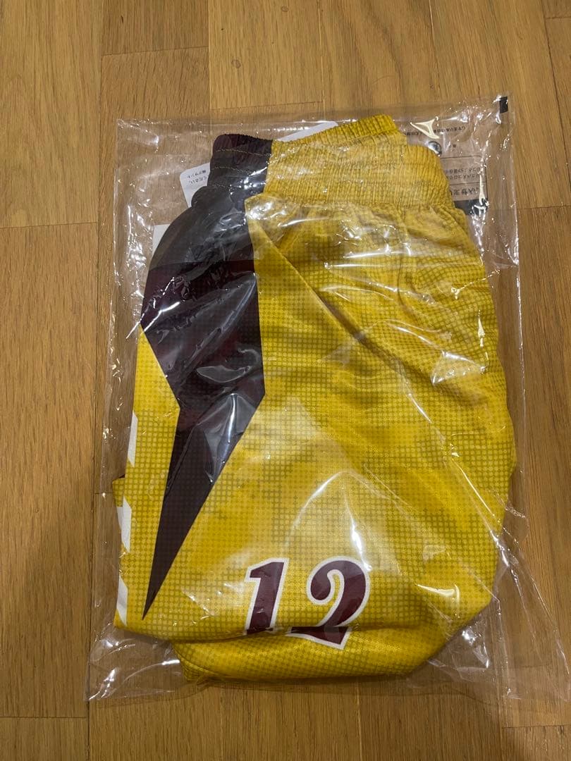 星城モデル ゲームパンツ Move Sport DESCENTE 12番