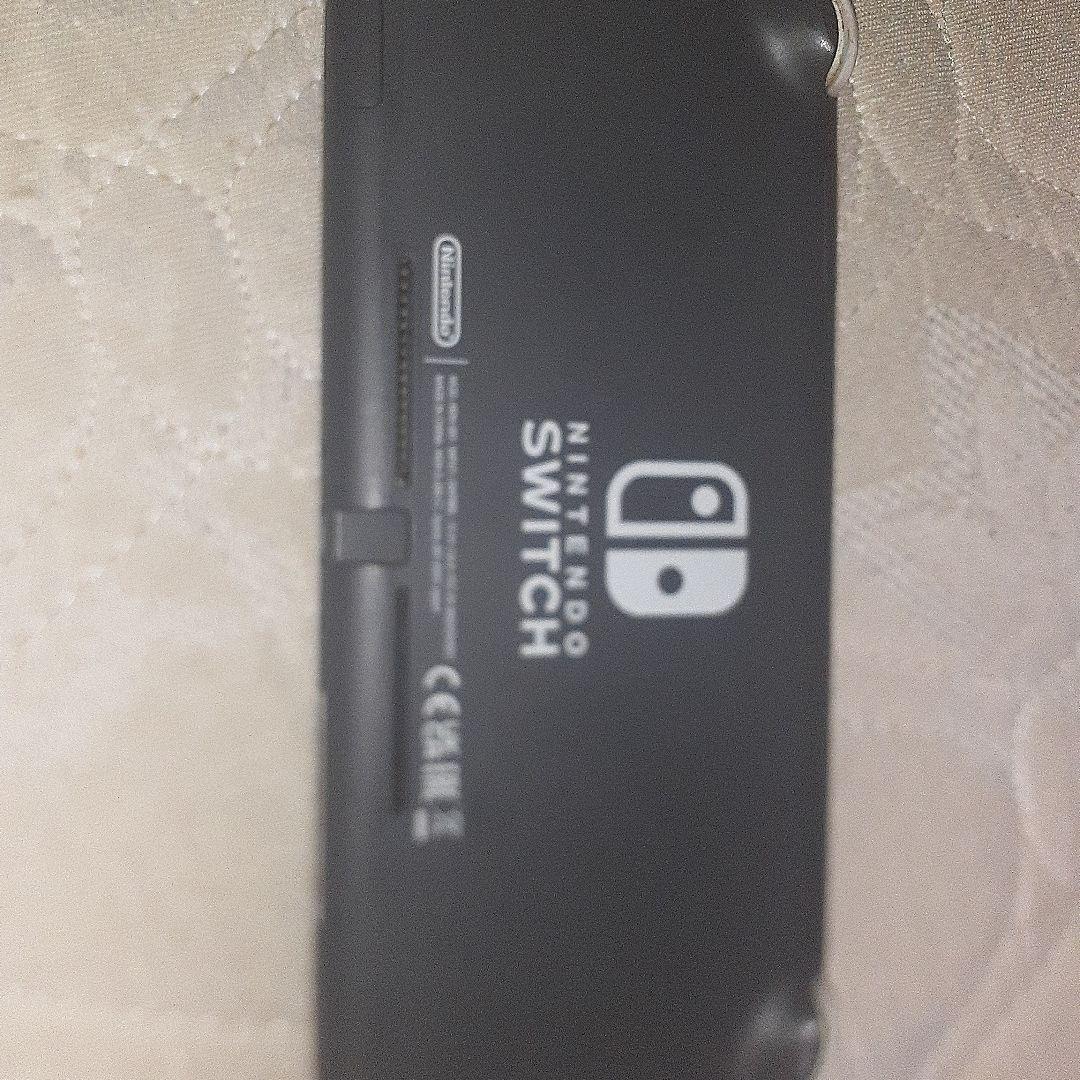 (ジャンク品)Nintendo Switch Lite グレー 本体