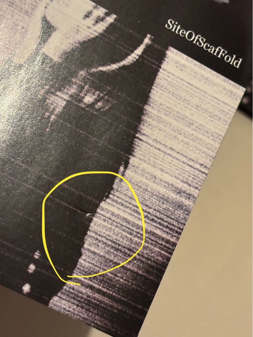 邦楽 deadman SiteOfScafFold CD