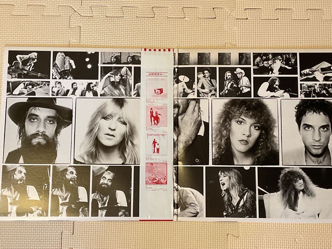 Fleetwood Mac Live レコード（2枚組）&写真集