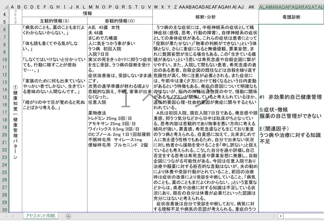 専用 看護計画 看護実習 看護学生 看護学校 実習記録 国試 アセスメント 資料