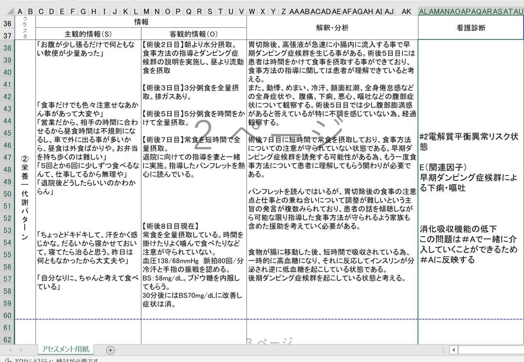 専用 看護計画 看護実習 看護学生 看護学校 実習記録 国試 アセスメント 資料
