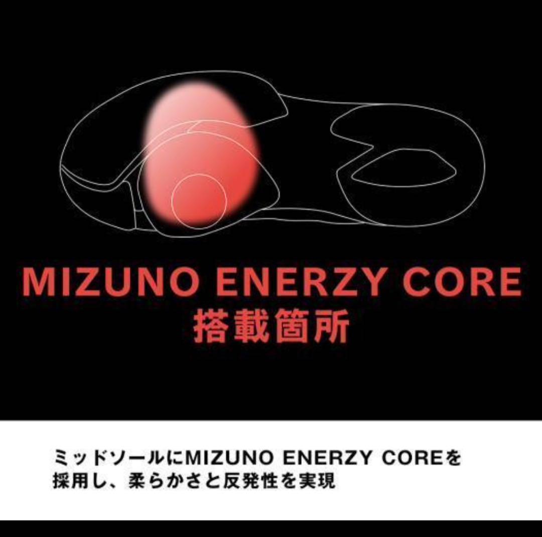 Mizuno バドミントンシューズ 24.5㎝ ウエーブファング2 FIT