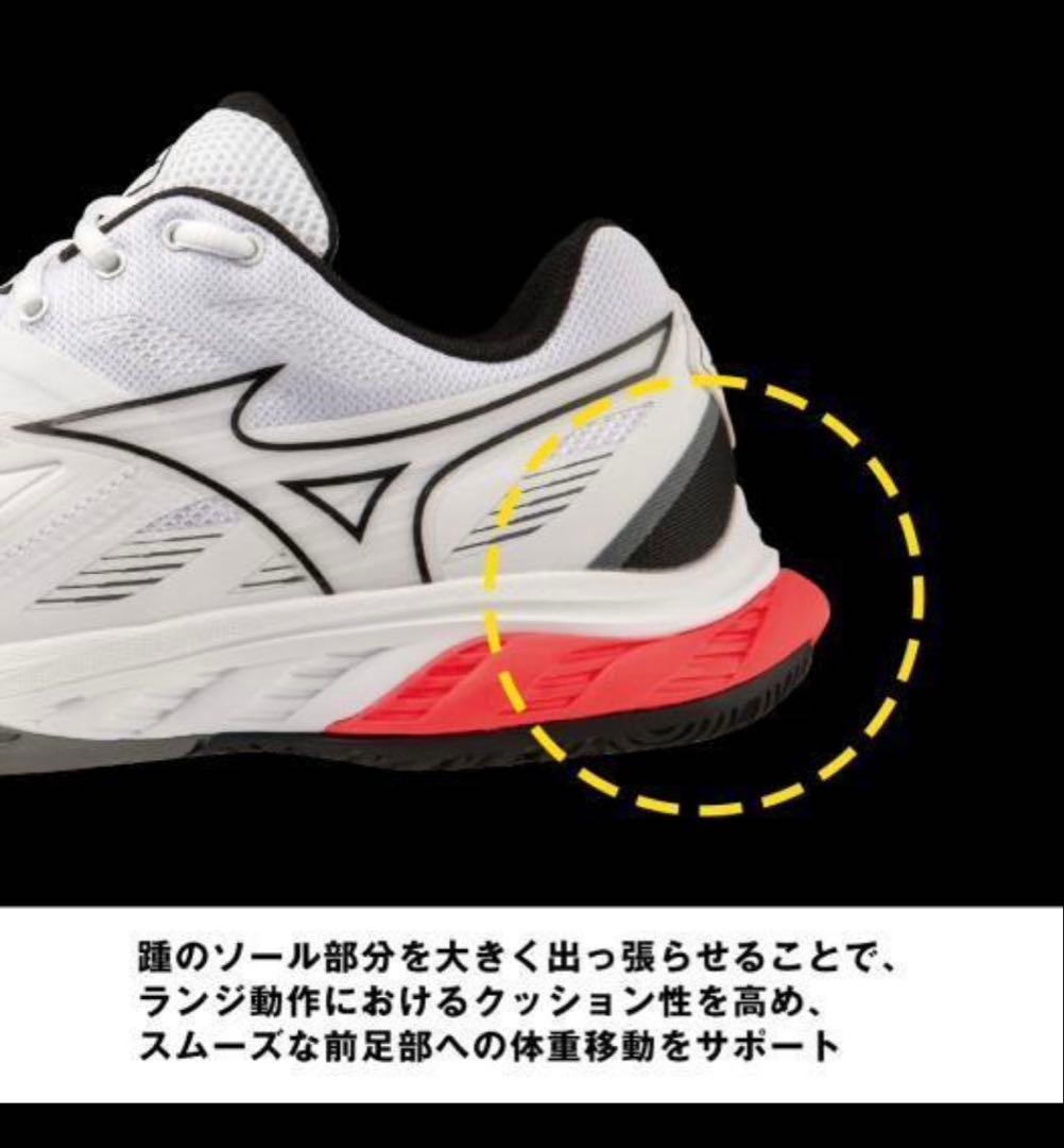 Mizuno バドミントンシューズ 24.5㎝ ウエーブファング2 FIT