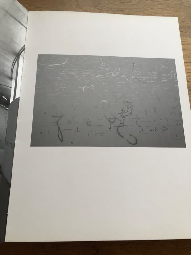 鈴木ヒラクSILVER MARKER Drawing as Excavating