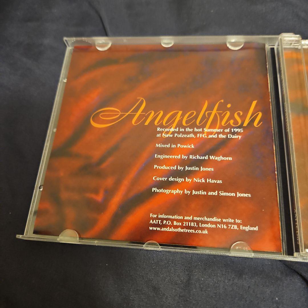 洋楽 Angelfish