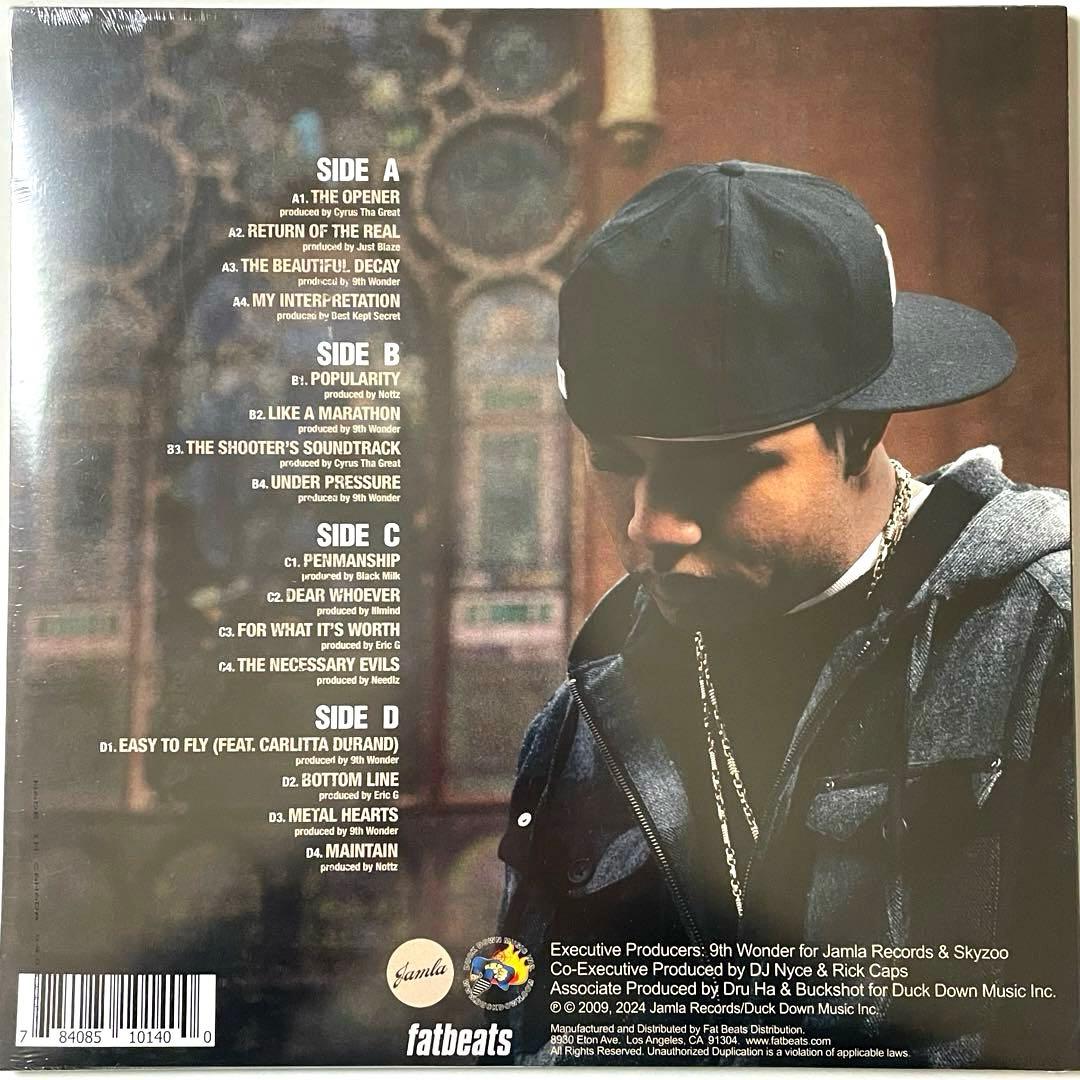 新品 Skyzoo / The Salvation 2LP レコード