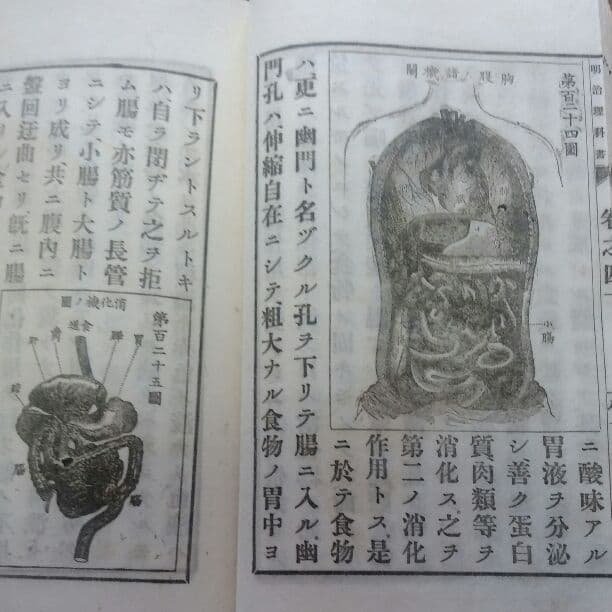 明治理科書