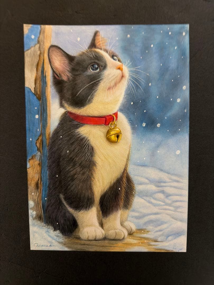 色鉛筆画A4 雪を見つめるハチワレ猫