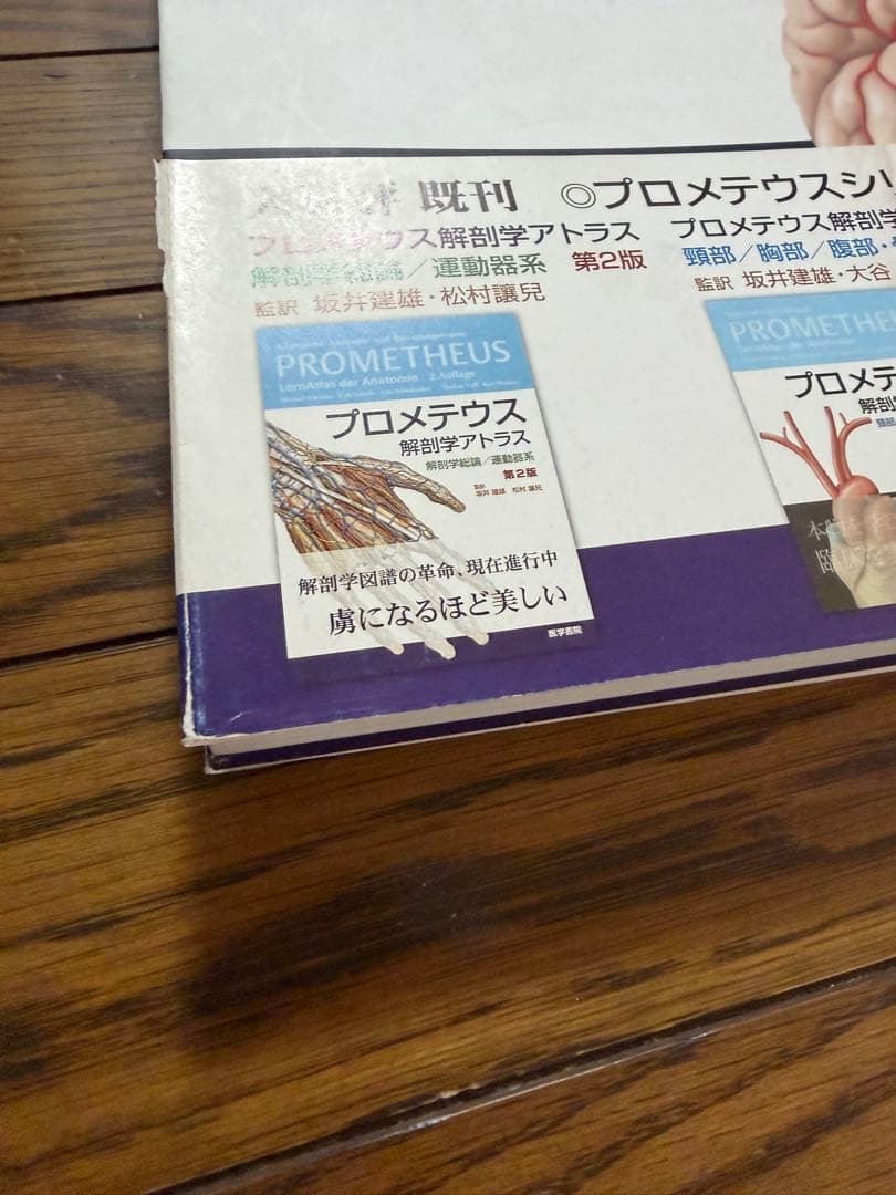 プロメテウス解剖学アトラス　頭頸部　神経解剖　第2版　解剖学　解剖書　医学書