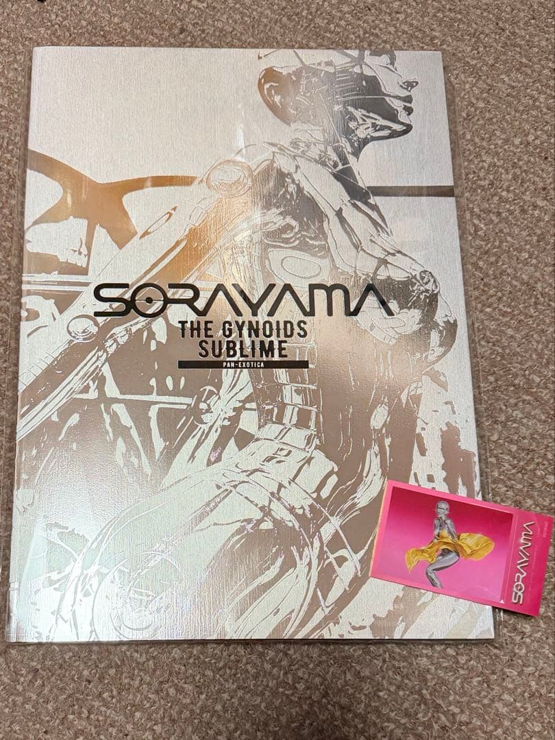 空山基 SORAYAMA THE GYNOIDS SUBLIME 画集 BOOK