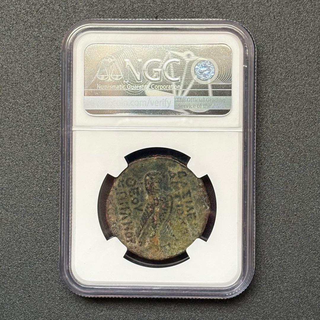 古代　セレウコス朝 アンティオコス4世 硬貨 NGC認証