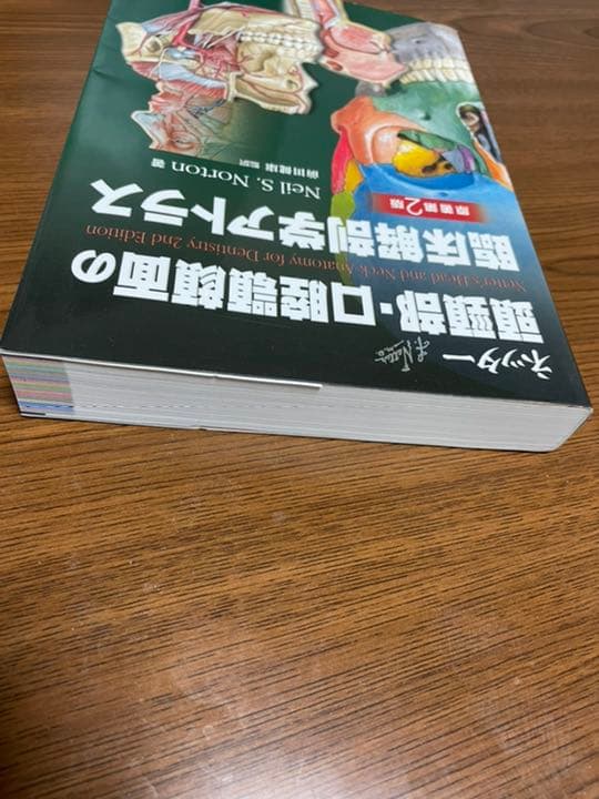 原著第2版ネッター頭頸部・口腔顎顔面の臨床解剖学アトラス