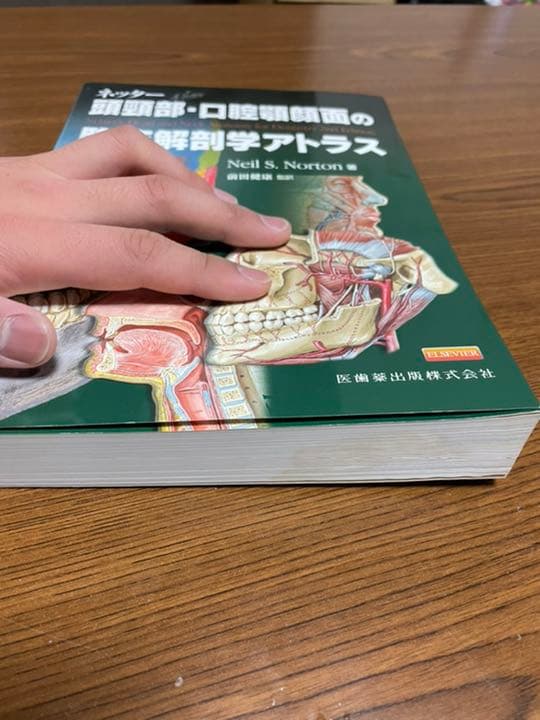 原著第2版ネッター頭頸部・口腔顎顔面の臨床解剖学アトラス