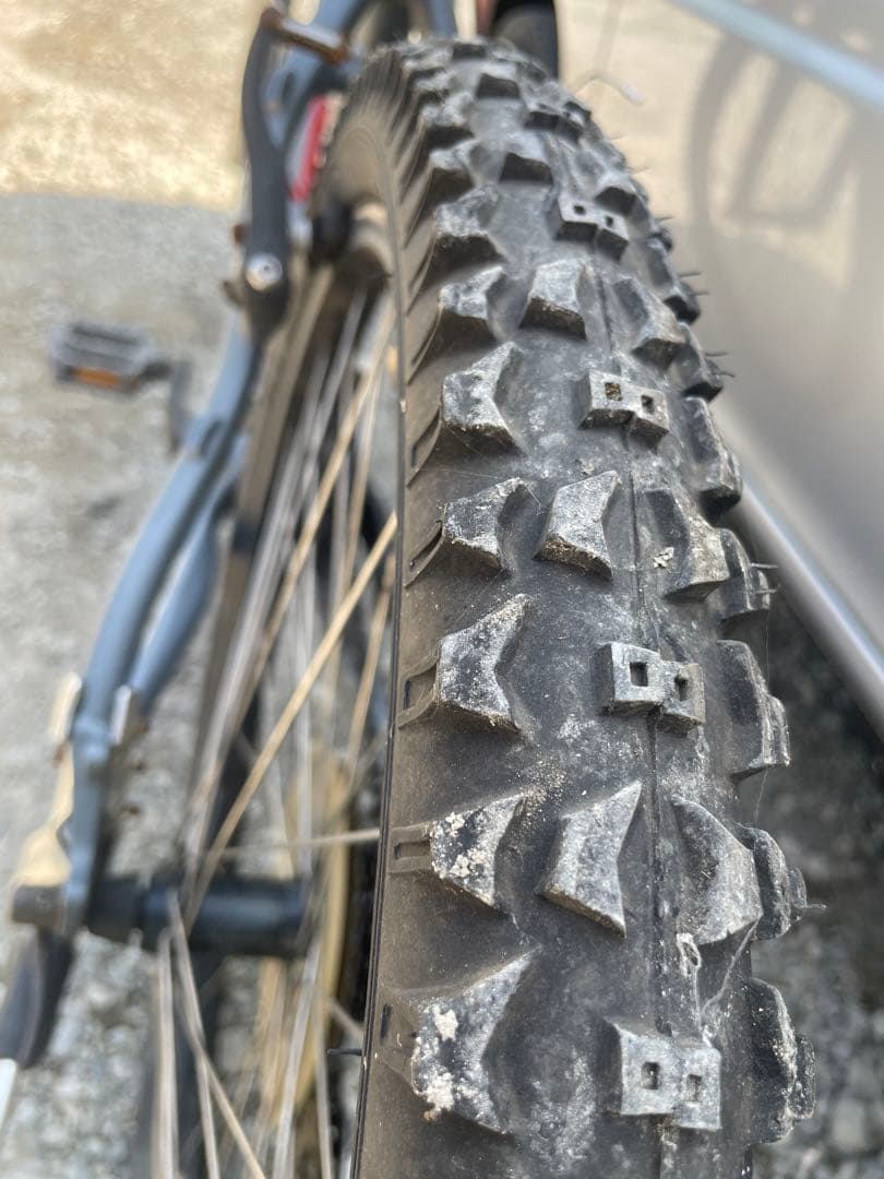 自転車 MINERVA