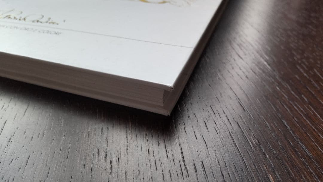 patrizia arvieri 　パトリツィア・アルビエリ　洋書　作品集