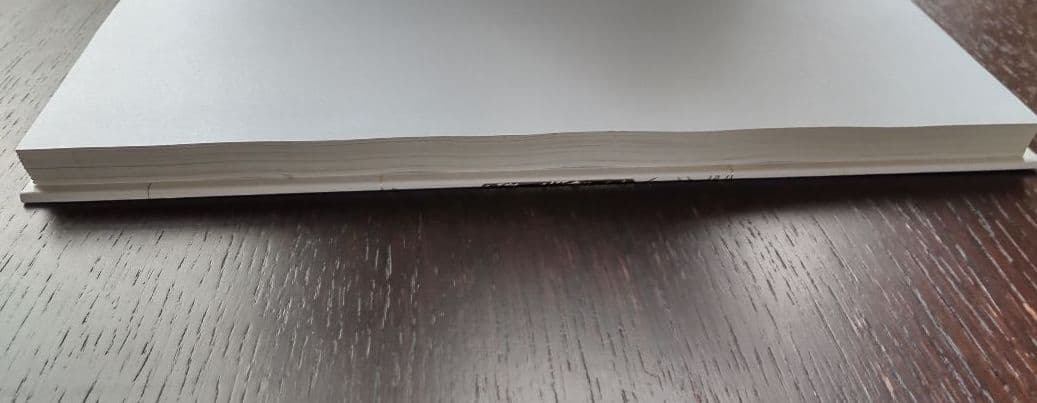 patrizia arvieri 　パトリツィア・アルビエリ　洋書　作品集