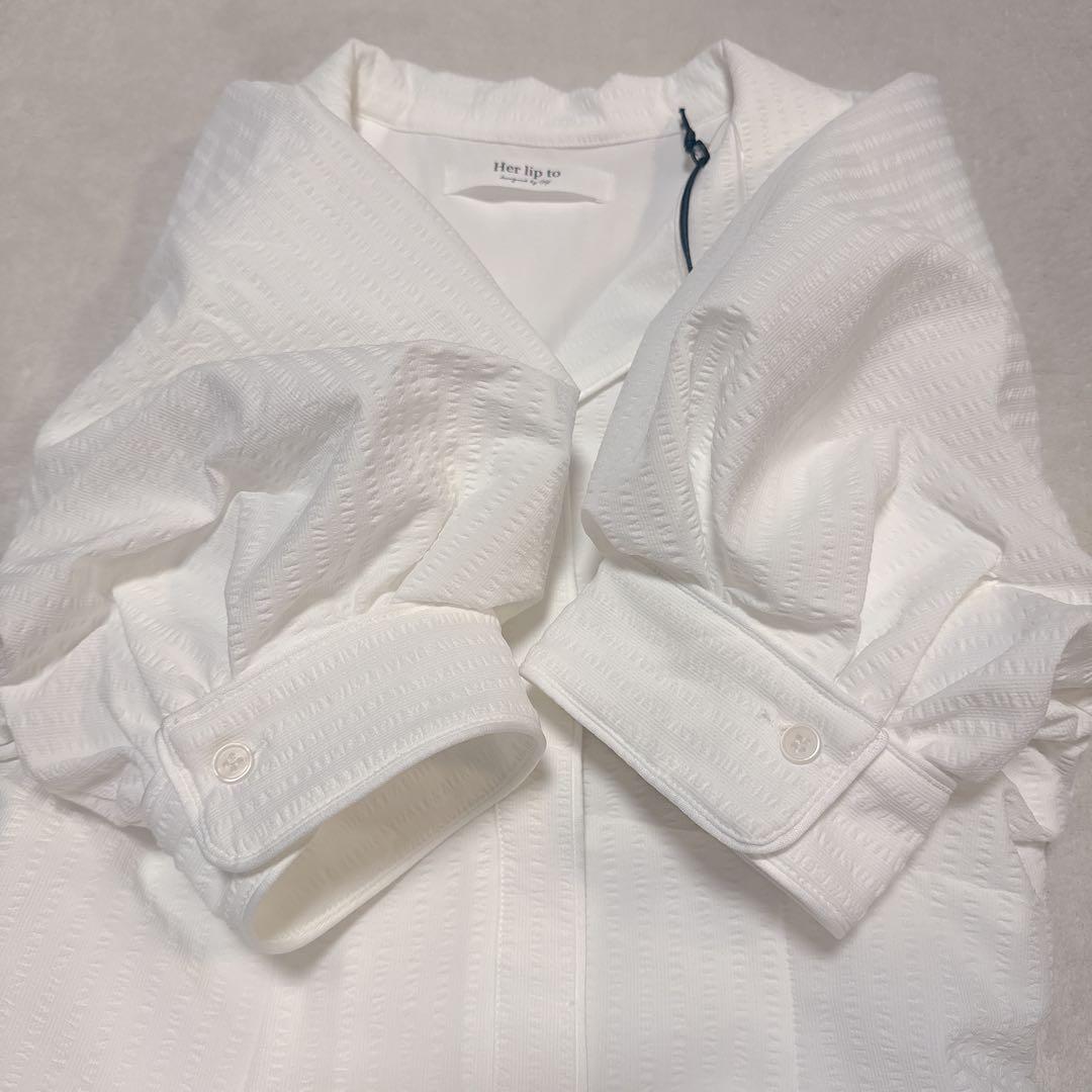 ハーリップ Vienna Volume Sleeve Shirt Dress