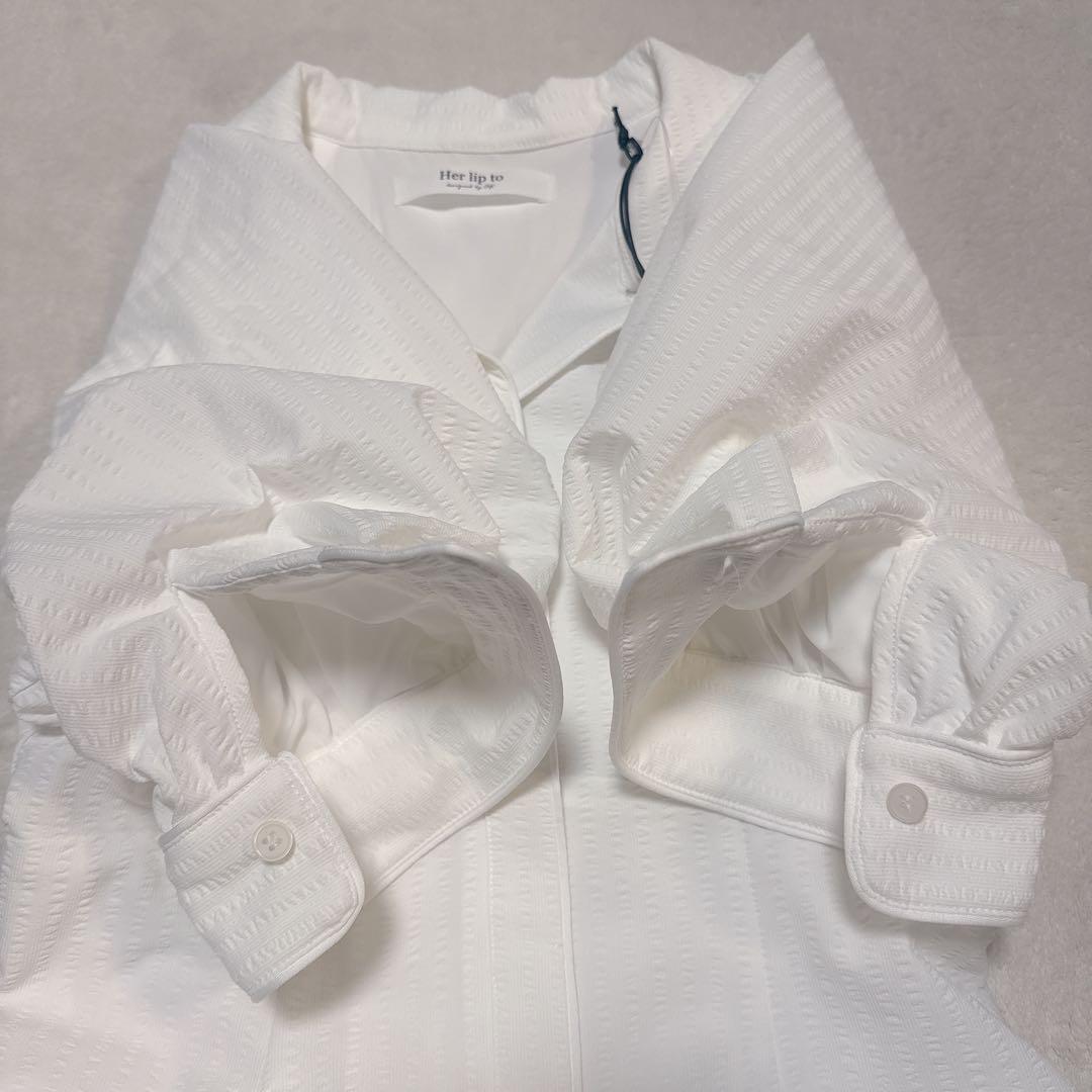 ハーリップ Vienna Volume Sleeve Shirt Dress