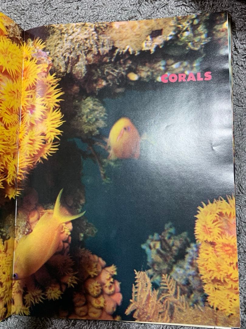 洋書 The Great Barrier Reef by Allan Power