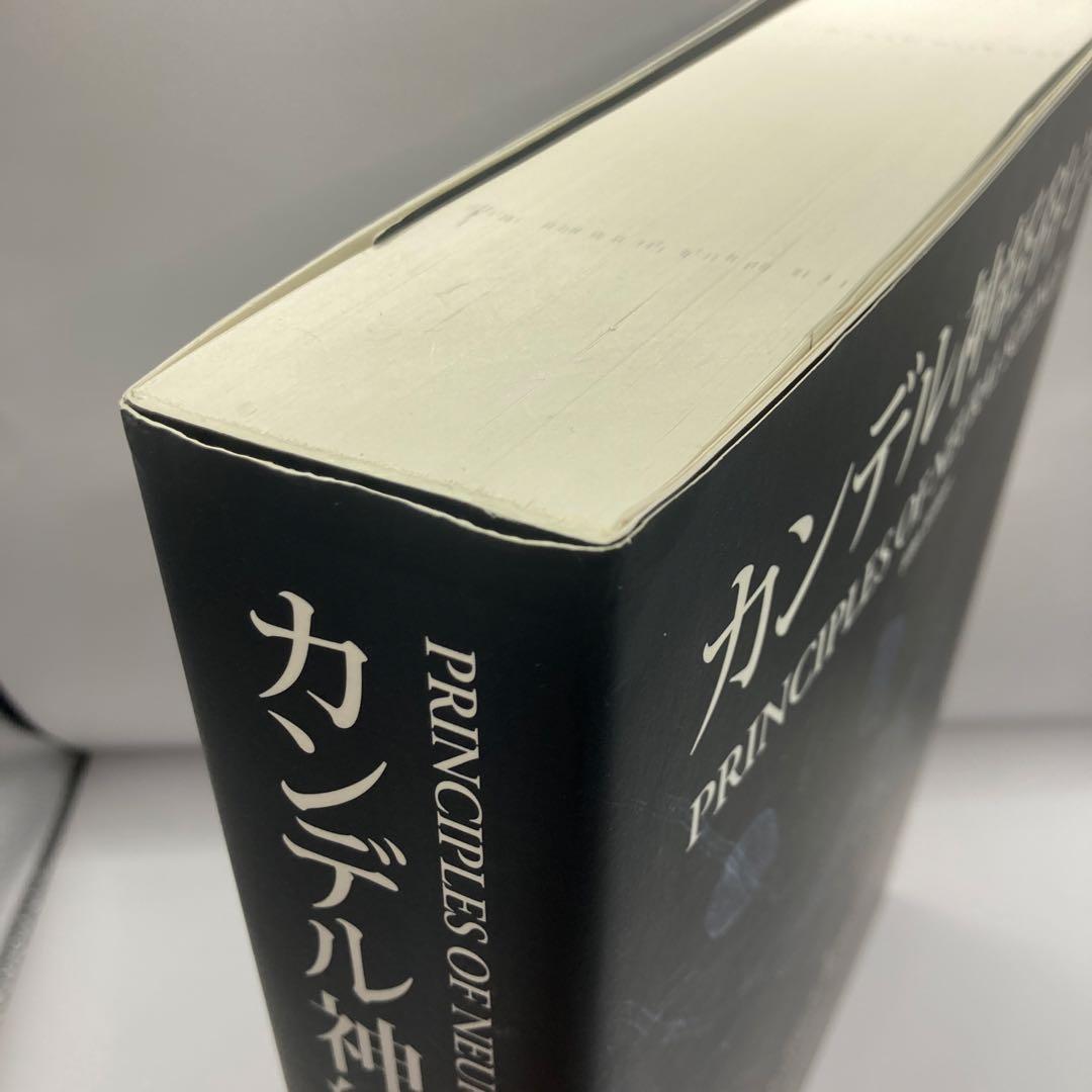 カンデル神経科学　MEDSi