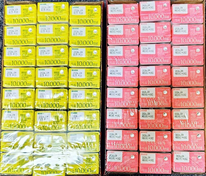 森永 おいしいコラーゲンドリンク 125ml ピーチ味×レモン味 各24本