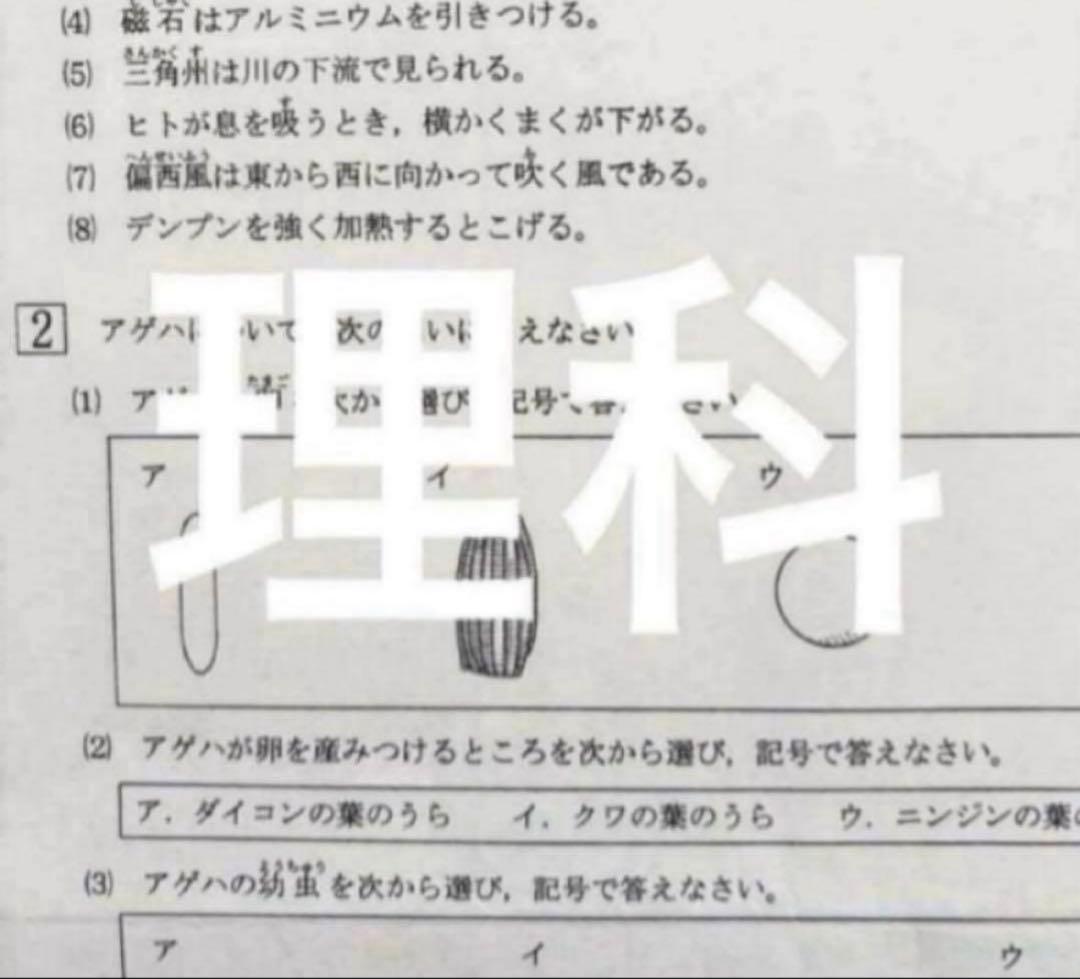 浜学園　小6 最新版　2025年　公開学力テスト4科目　国語、算数、理科、社会