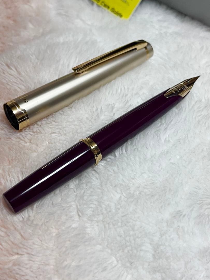 ☆廃番品 新品未使用 パイロット 万年筆 エリート ディープレッド F 細字☆