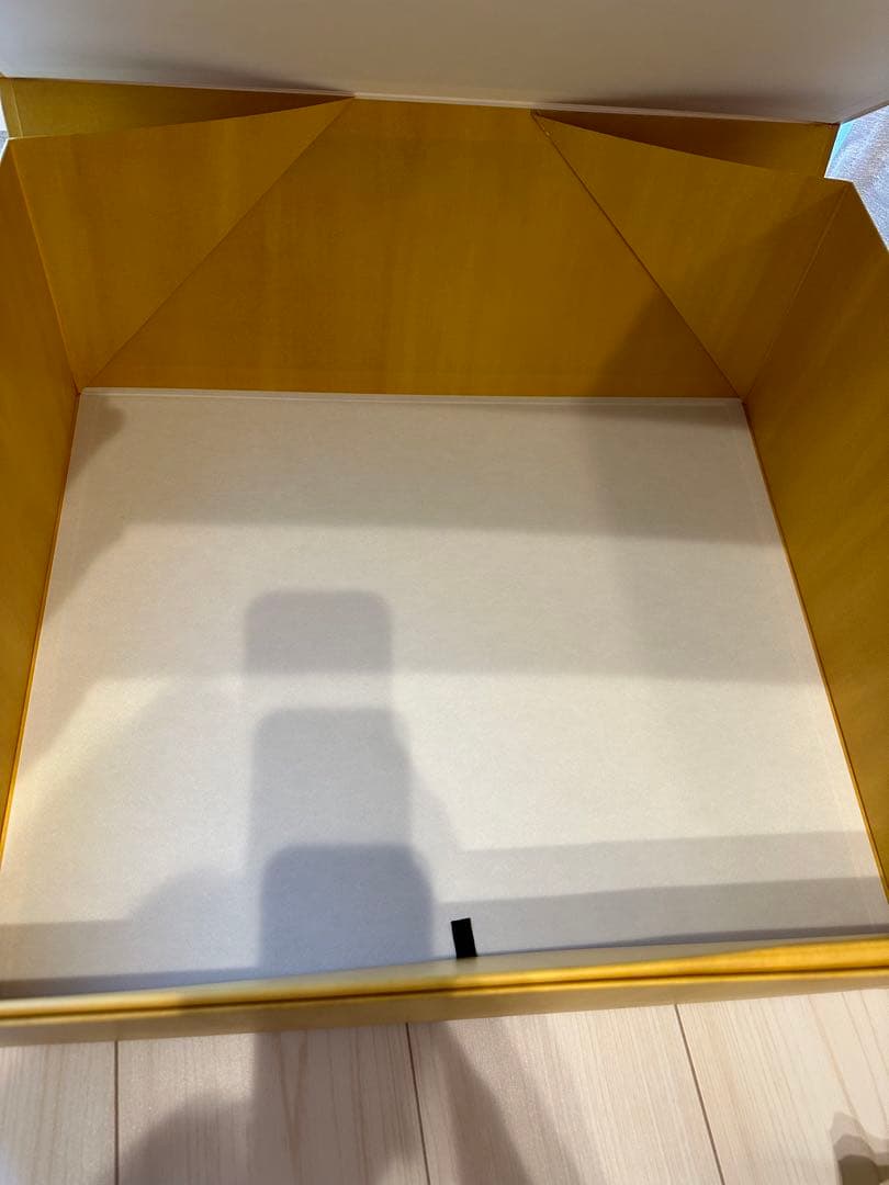 FENDIのリュックの入っていた箱、取扱説明書、リボン2本