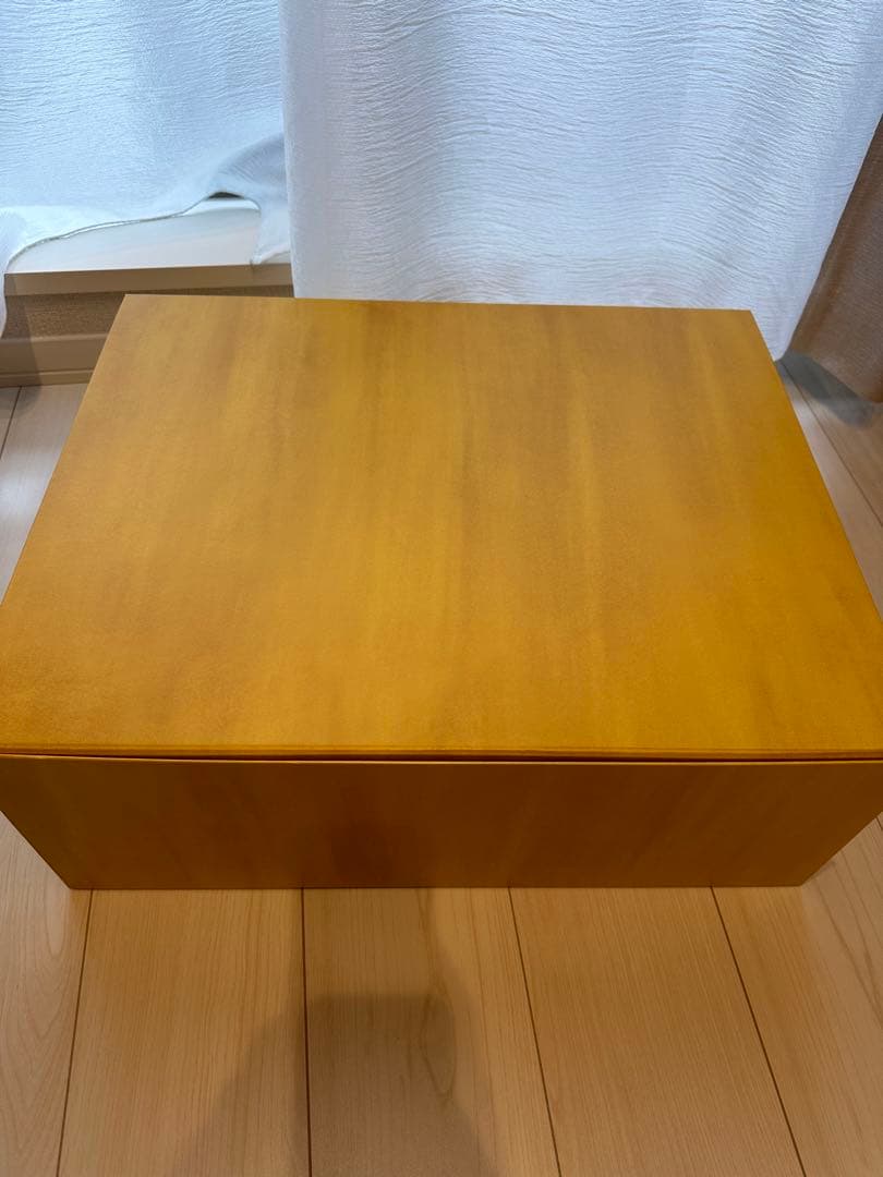 FENDIのリュックの入っていた箱、取扱説明書、リボン2本