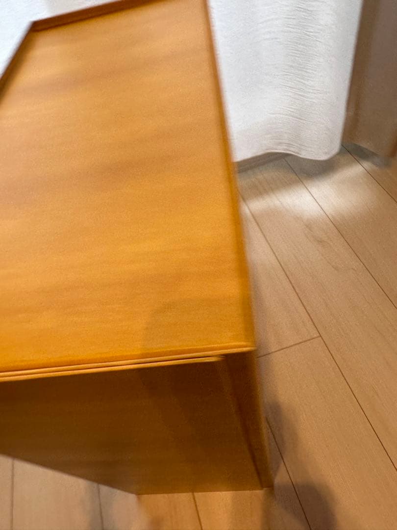 FENDIのリュックの入っていた箱、取扱説明書、リボン2本