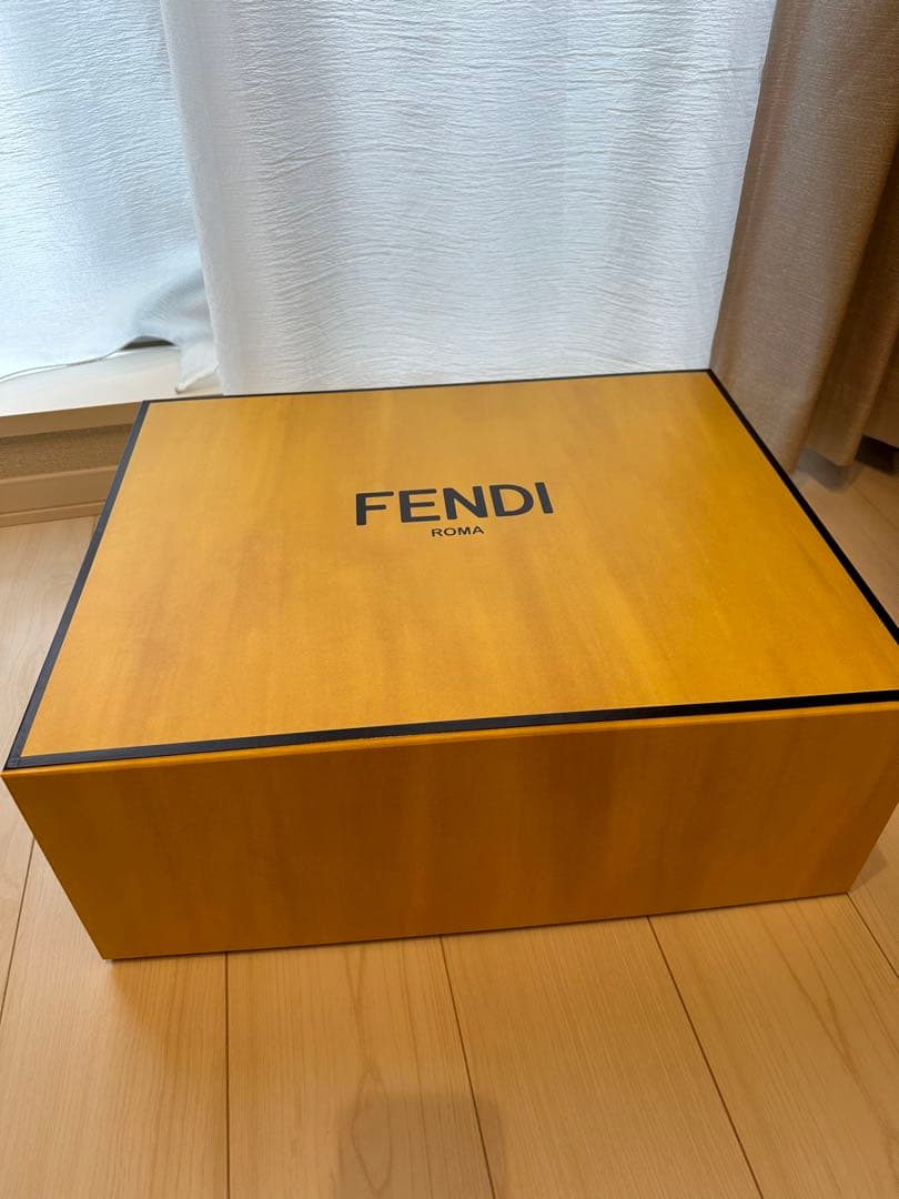 FENDIのリュックの入っていた箱、取扱説明書、リボン2本