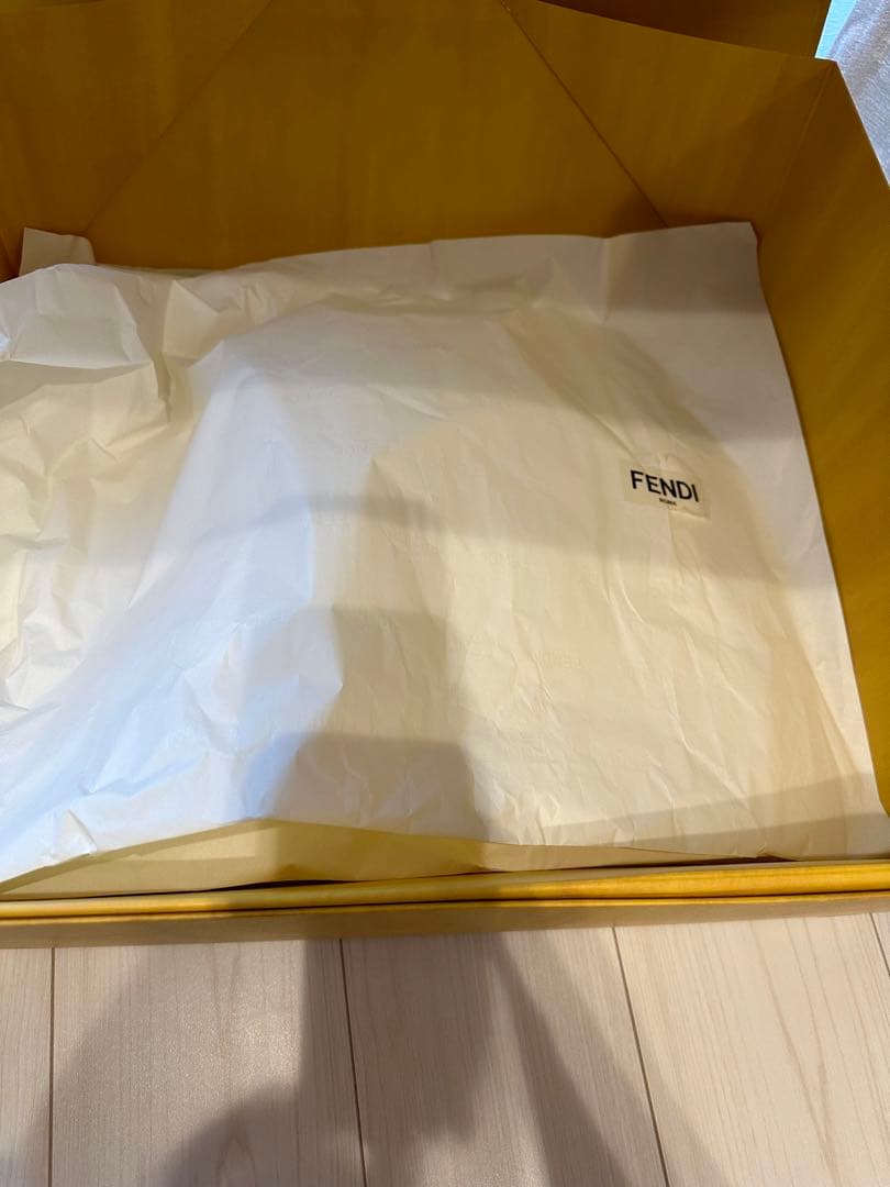 FENDIのリュックの入っていた箱、取扱説明書、リボン2本