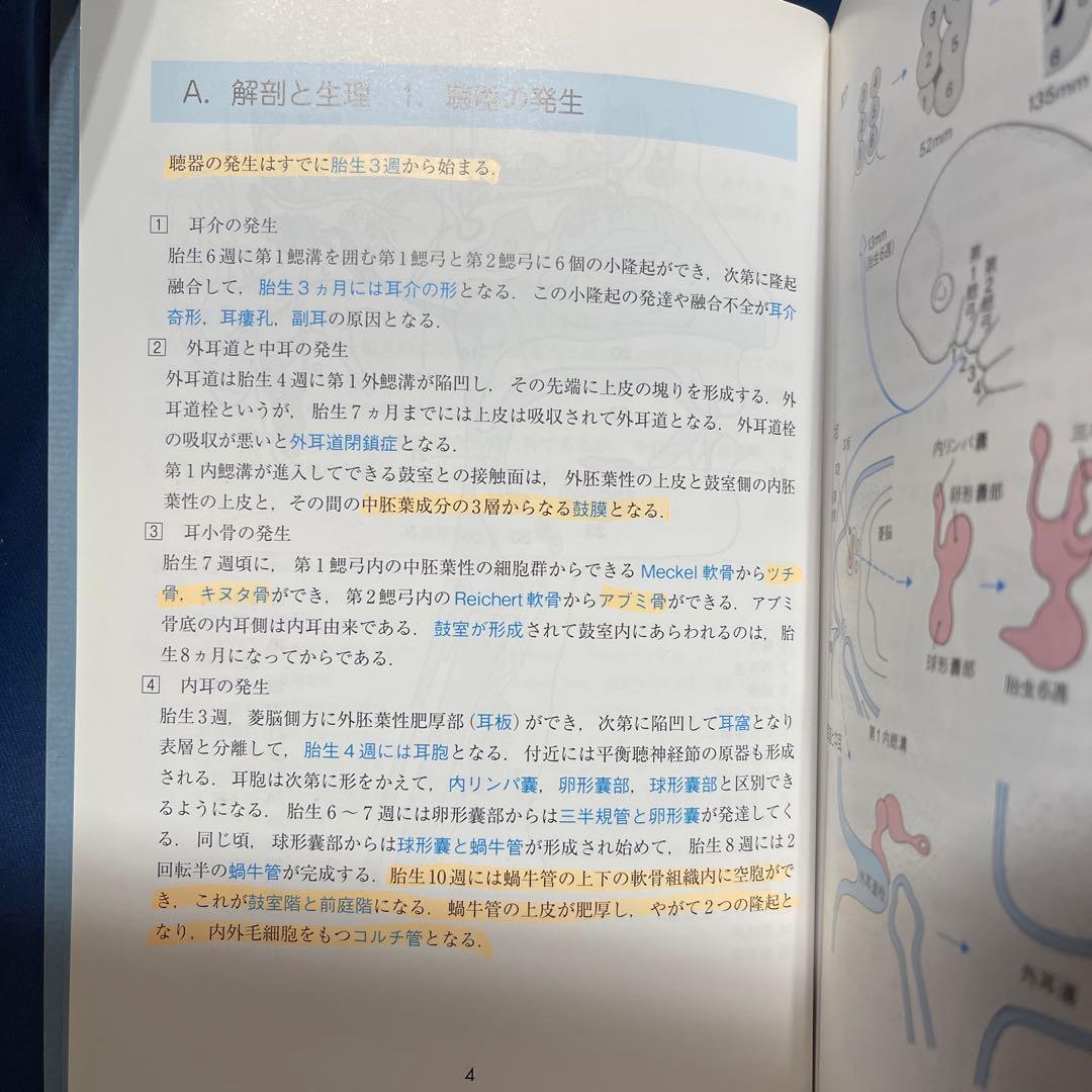 R⑤ イラスト耳鼻咽喉科 第3版 森満保 文光堂