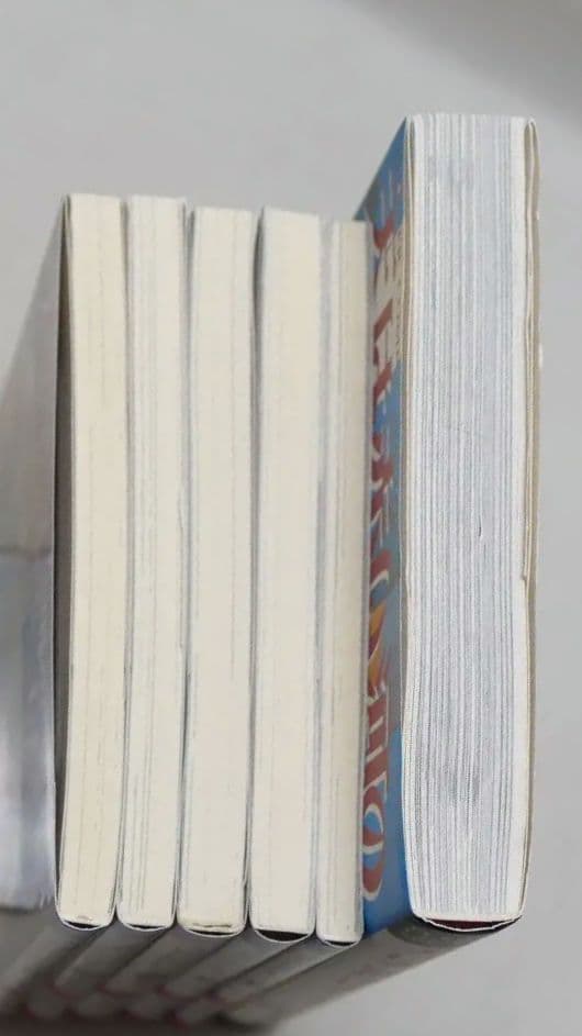 天は赤い河のほとり 外伝 全5巻・同ファンブック 計6冊セット