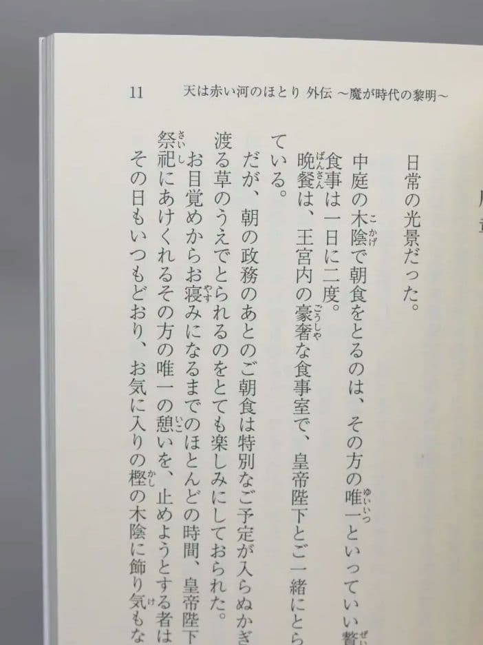 天は赤い河のほとり 外伝 全5巻・同ファンブック 計6冊セット