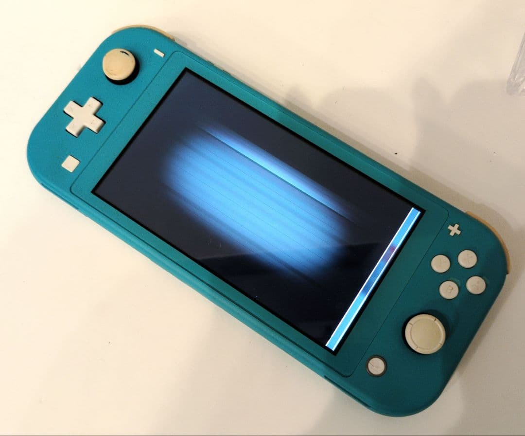 【ジャンク】ニンテンドー Nintendo Switch Lite 値下げ不可