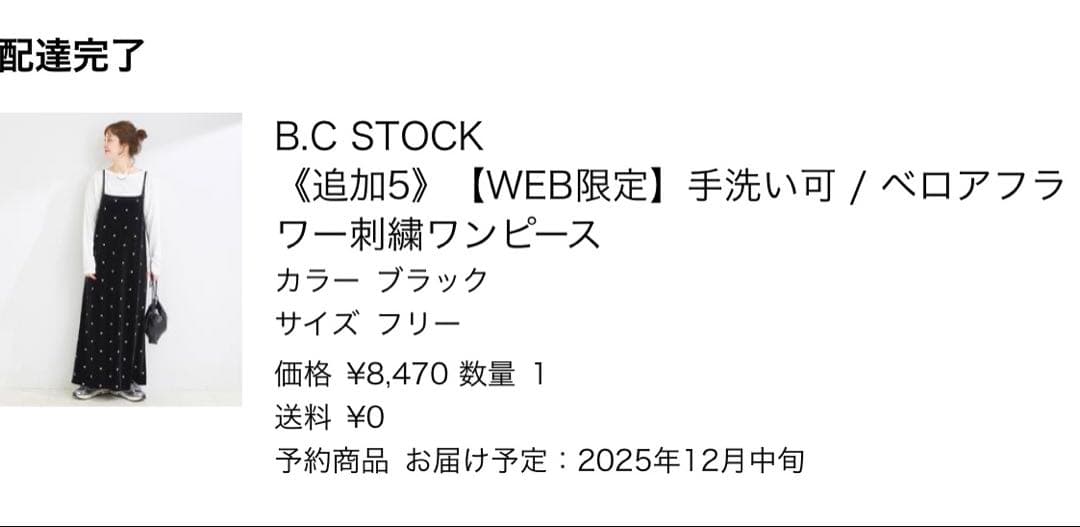 B.C STOCK【WEB限定】手洗い可 / ベロアフラワー刺繍ワンピース 1回