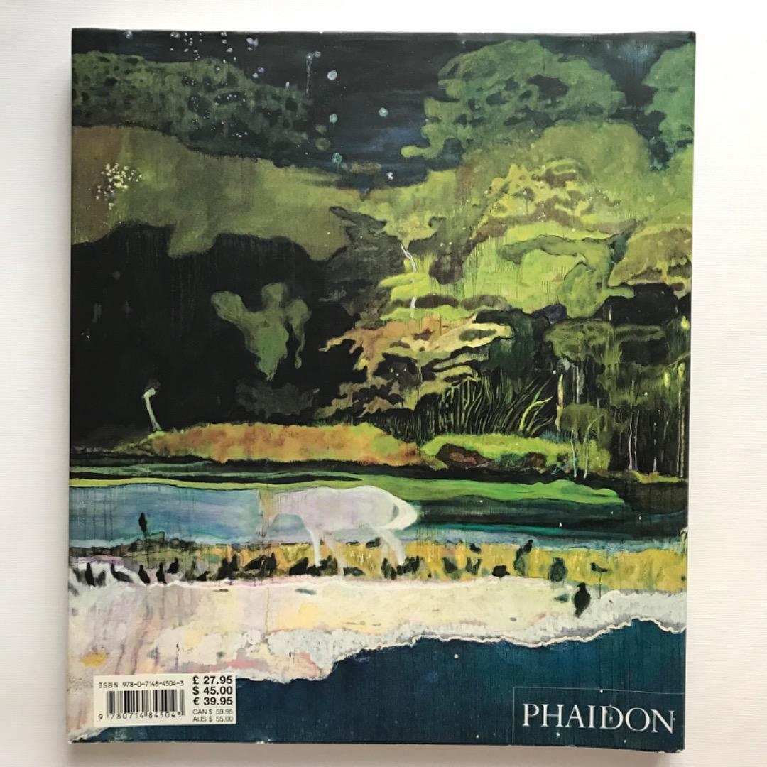 ピータードイグ 画集 Peter Doig Phaidon 作品集