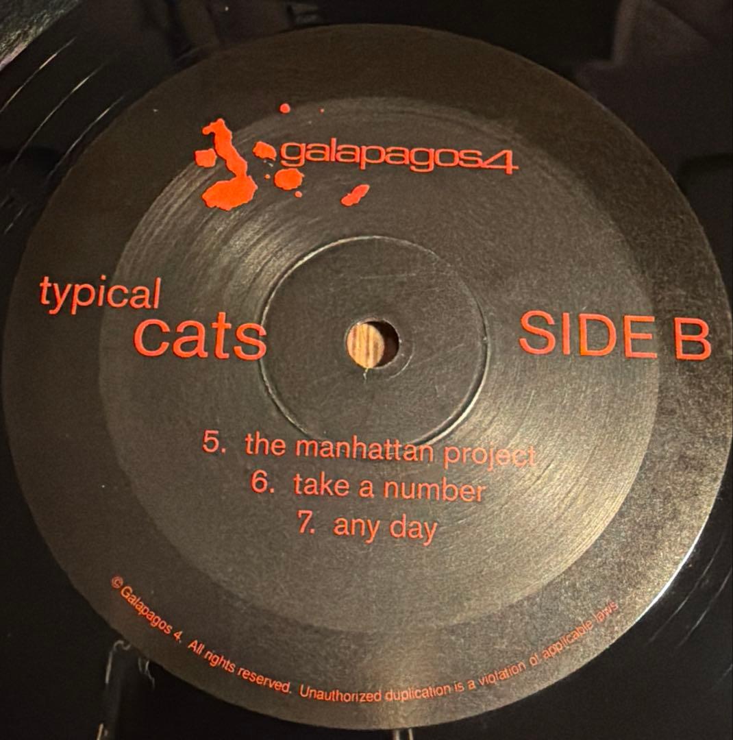 【US盤】Typical Cats / Typical Cats (1LP)