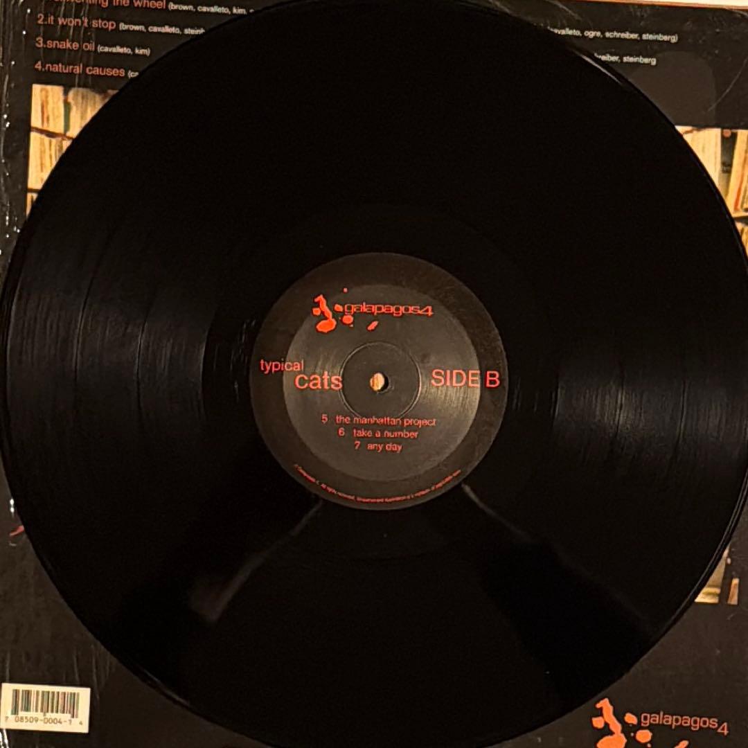 【US盤】Typical Cats / Typical Cats (1LP)