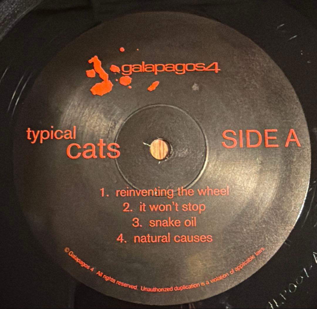 【US盤】Typical Cats / Typical Cats (1LP)