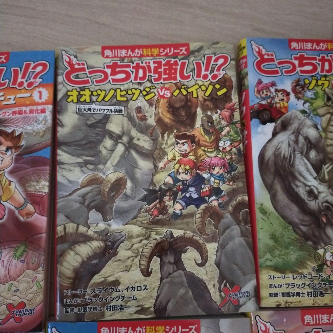 どっちが強いシリーズ まとめ売り