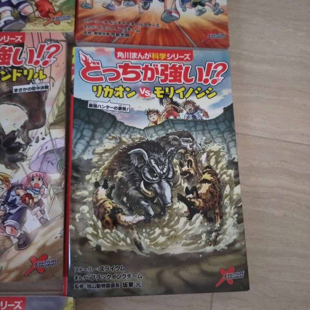 どっちが強いシリーズ まとめ売り