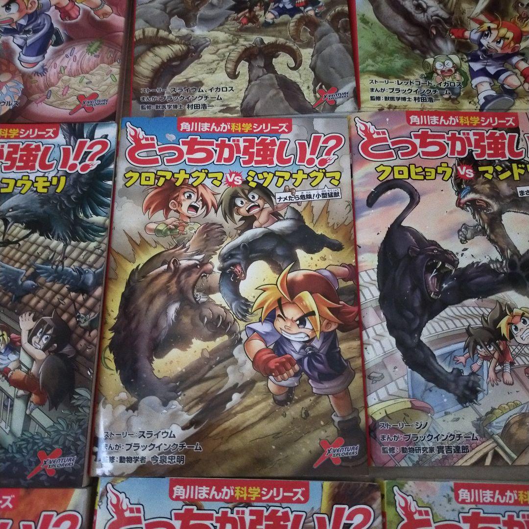 どっちが強いシリーズ まとめ売り