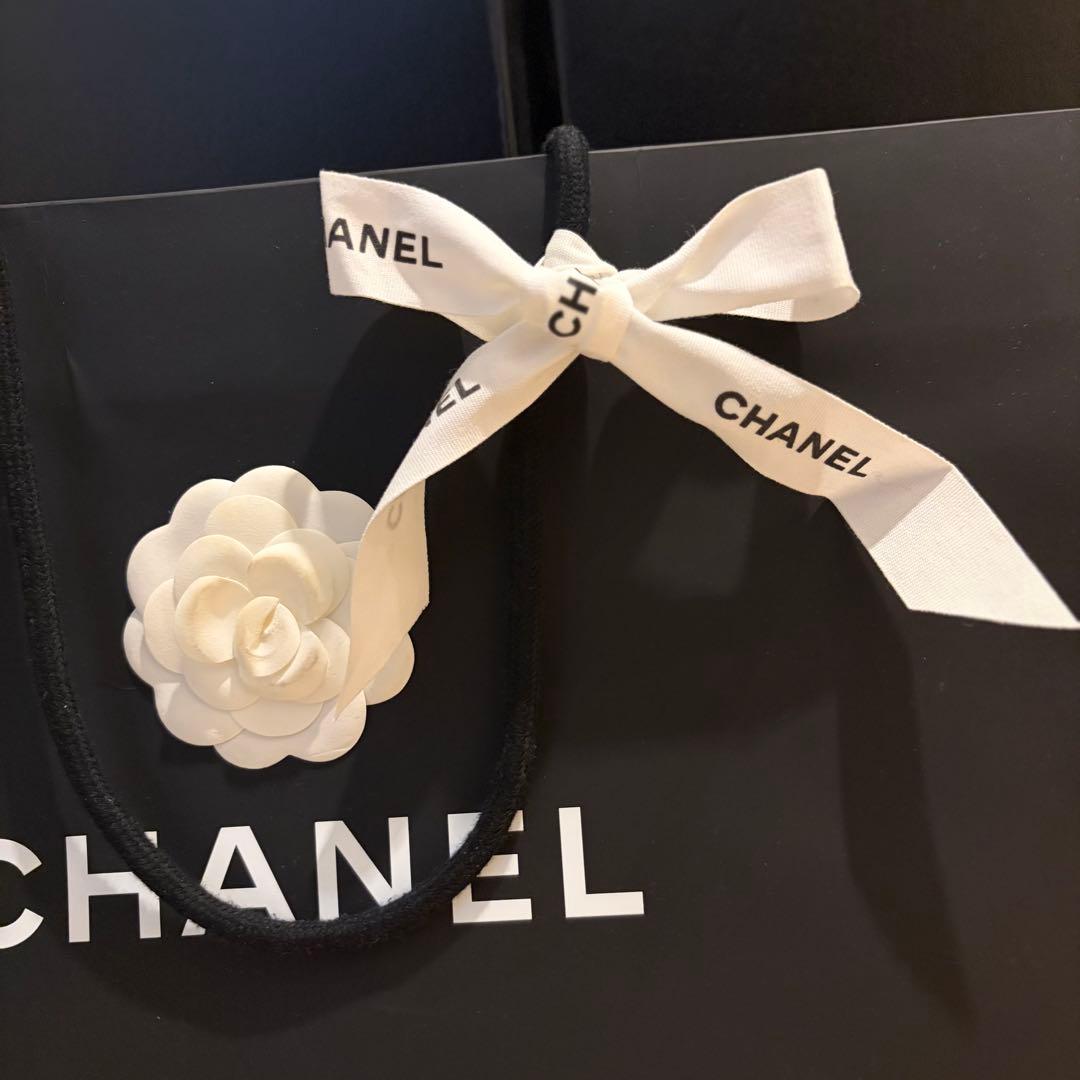 CHANELバッグ用特大ボックス空箱保存袋ポーチショッパーセット空箱15個まとめ